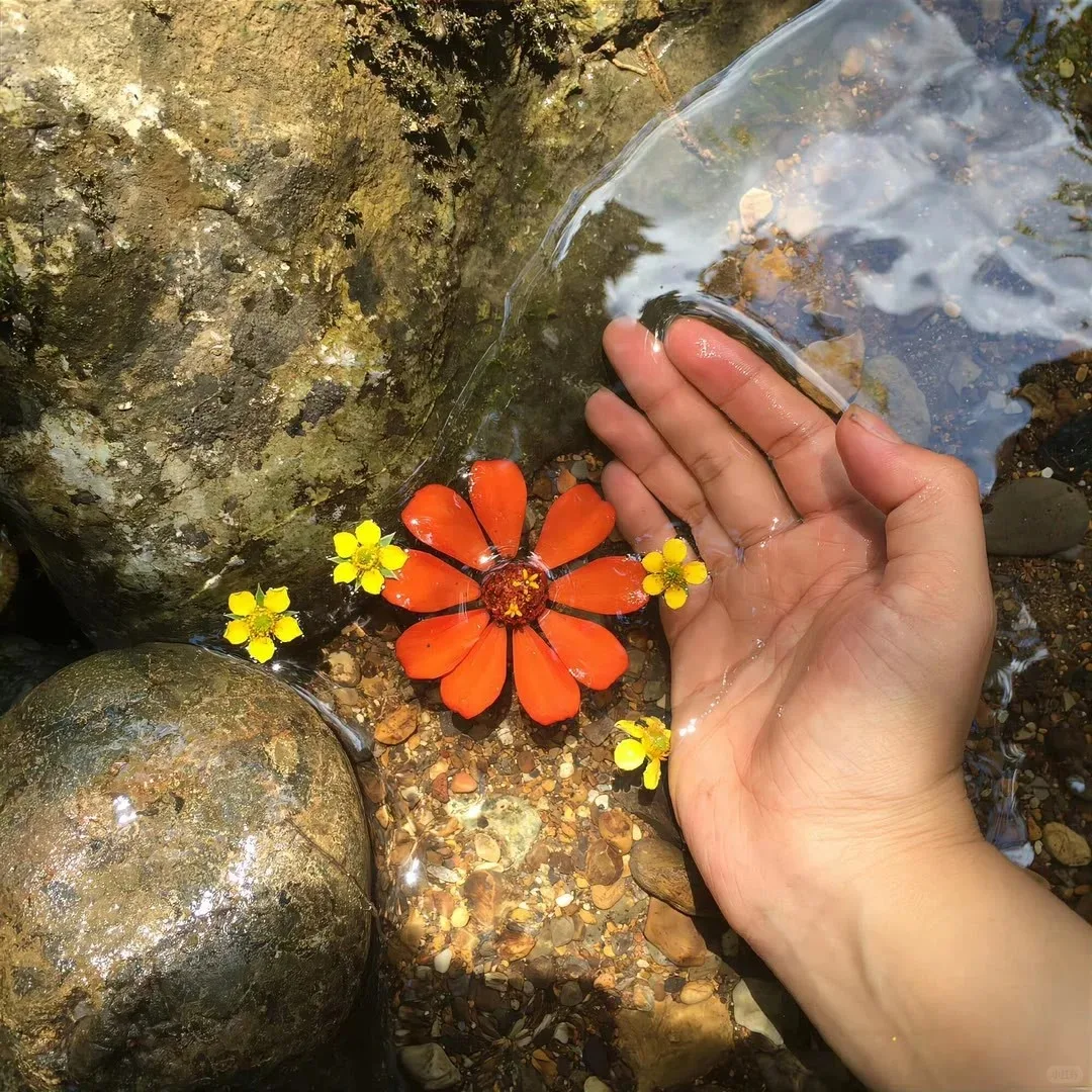 

Hair Freckle Removal Rf Skin Rejuvenation Elight Opt Laser Machine Ipl Laser Hair Removal Epilator Ipl Laser Machine