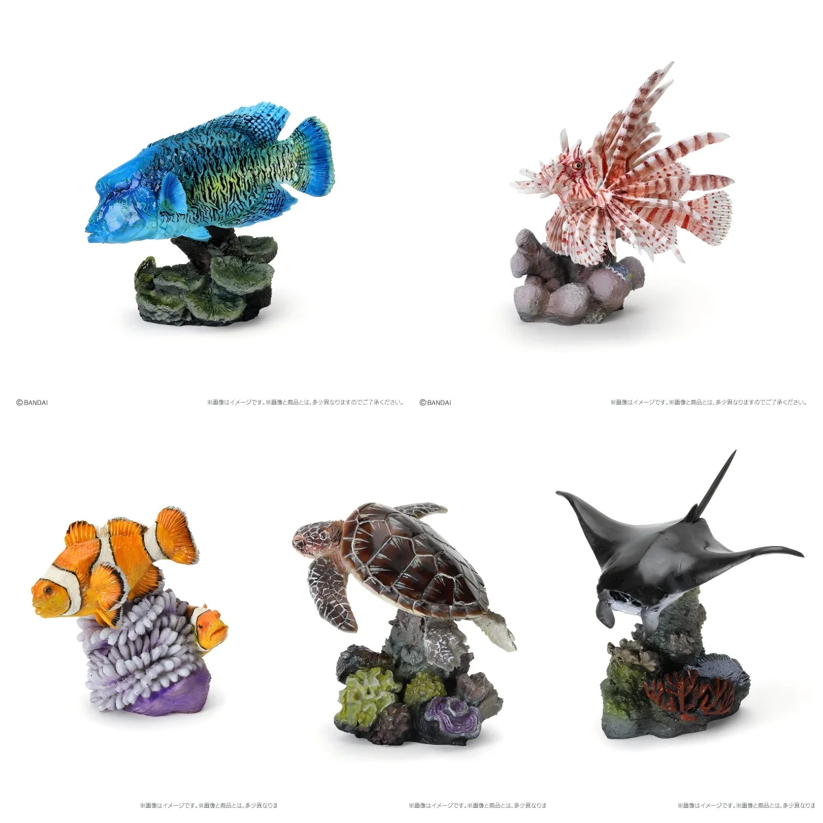 

Подлинная масштабная модель Gacha, биологическая когнитивная модель, левная рыба, лучи Манта и рыба-клоун, которая жила, коралловые рифы