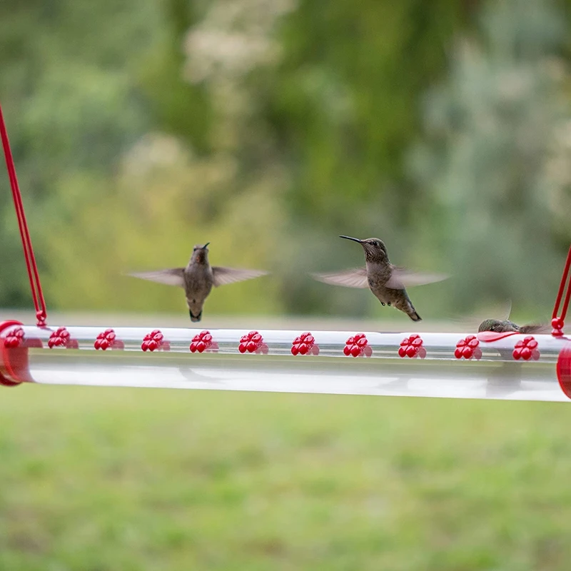 Vogel häuschen mit Loch Vogel fütterung transparentes Rohr einfach zu bedienende Vogel häuschen Dekoration