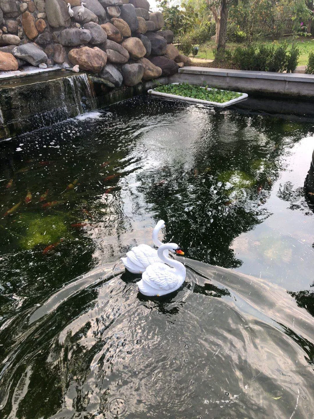 [YL]-Floating Water White and Black Swan Statue, Creative Swimming Pool, Outdoor Garden, Pond Decorative Sculpture, Home Decor O