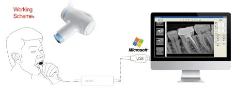 HDR500C/600A Great performance high technology  X-RAY rvg sensor digital for big promotion