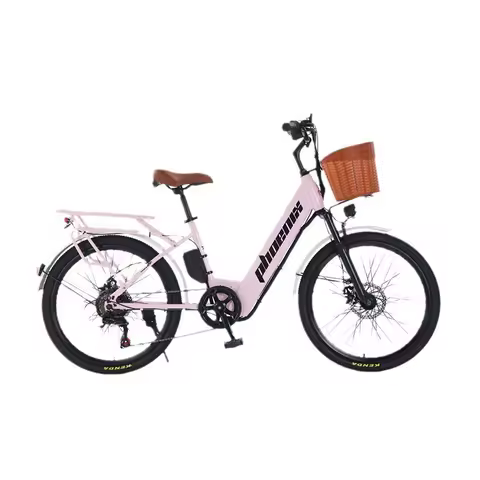 Lithium Battery Electric Mountain Bike 26-Inch Walking Power Electric Variable Speed Battery Bicycle