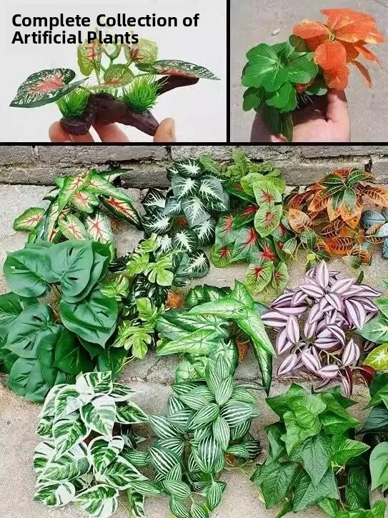 

Декорации для аквариумов: высококачественные растения для создания экологичного ландшафта, декоративные элементы для террариумов, контейнеров для рептилий, ящериц, террариумов в стиле тропического леса, аквариумов с имитацией ландшафта