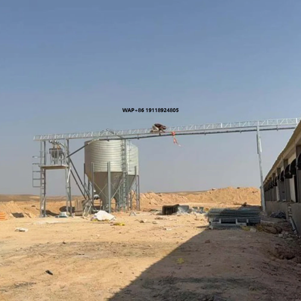 HDP Panel Galvanized Steel Feed Silo for Livestock Farming Automatic Feeding System Storage Tower