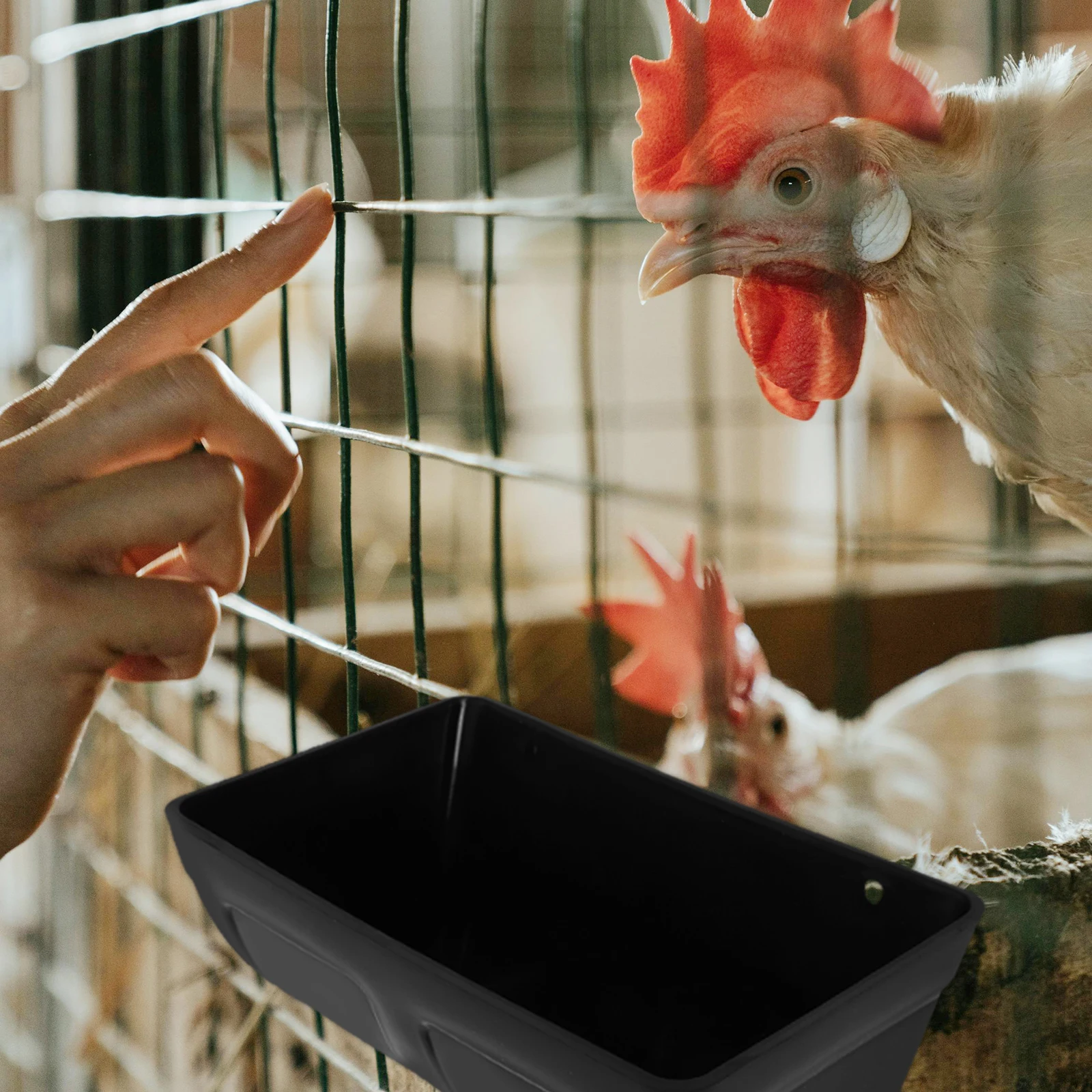 

2 Sets Automatic Feeder Chicken Feeding Tray Feeders Kit Food Bird Container Black for Coop