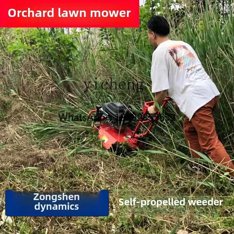 

TQH Zongshen Power Self-propelled Mower Grass Shredder Orchard Farm Mower Wasteland Mower
