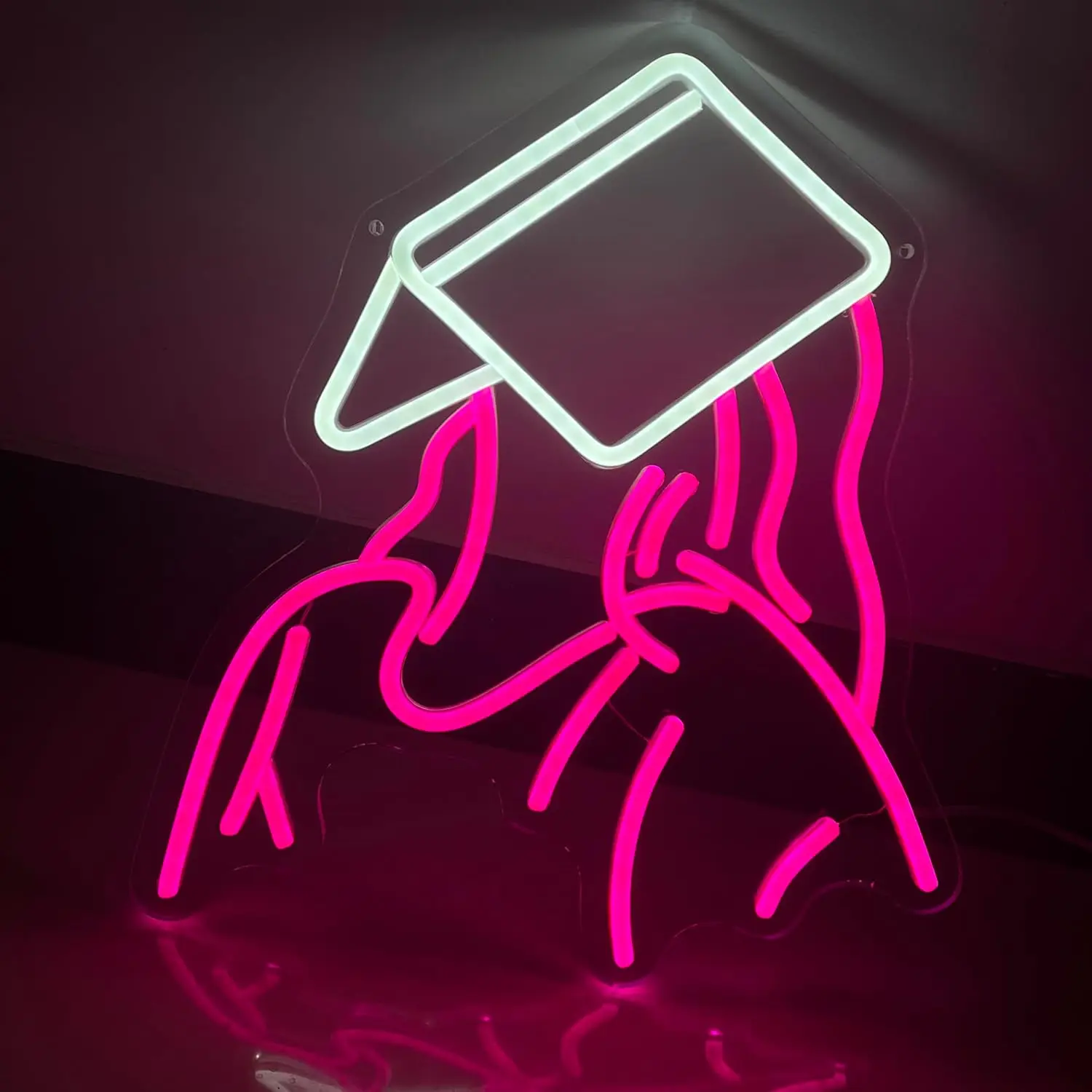 

Reading girl Neon Sign, Neon Light Signs by USB with Switch, LED Neon Light Sign Acrylic Art Wall Decor for Bedroom Wall Decor