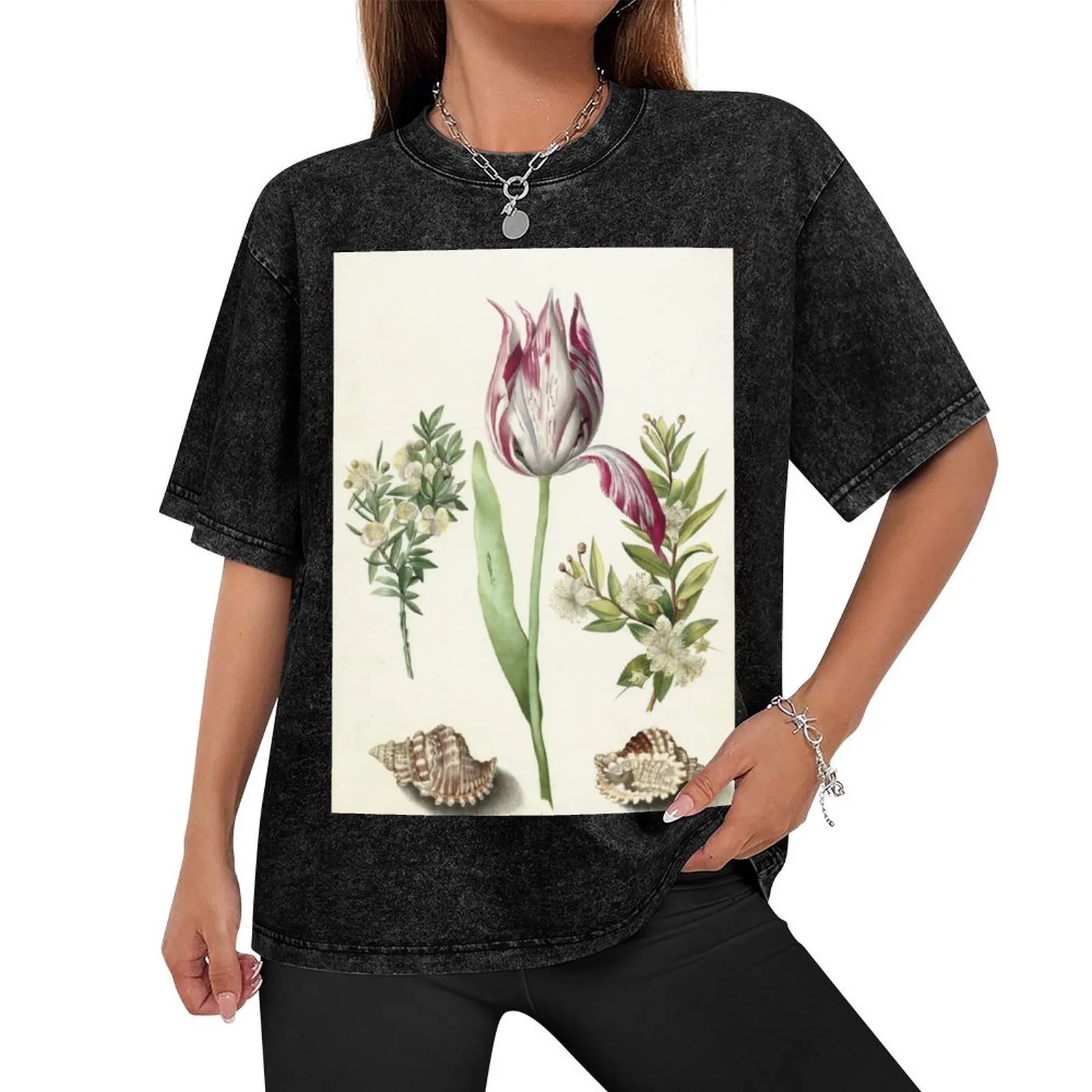 Tulip, two Branches of Myrtle and two Shells Maria Sibylla Merian c. 1700 T-Shirt anime tshirt mens fashion