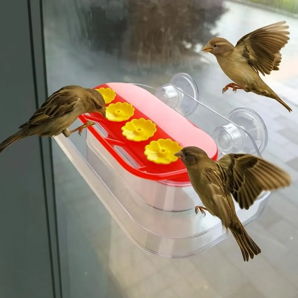 Prácticas ventosas, alimentador de colibrí, duradero y Visible, bebedero de agua para pájaros, dispensador de agua de colibrí recargable, ventana