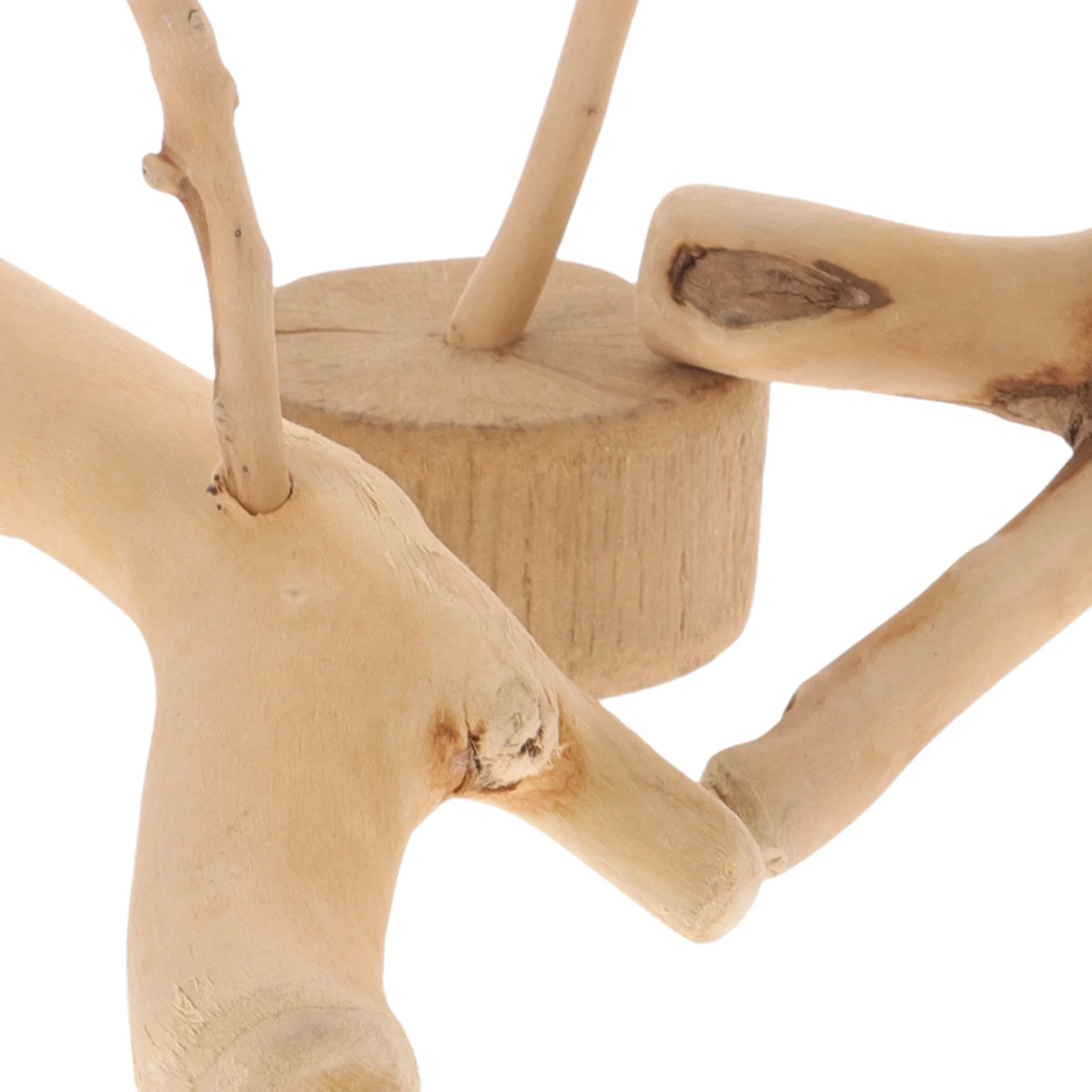 

4Pcs Natural Driftwood for Aquarium Fish Tank Decor Underwater Landscape Stable Base Reptile Tank Wood Craft Decoration