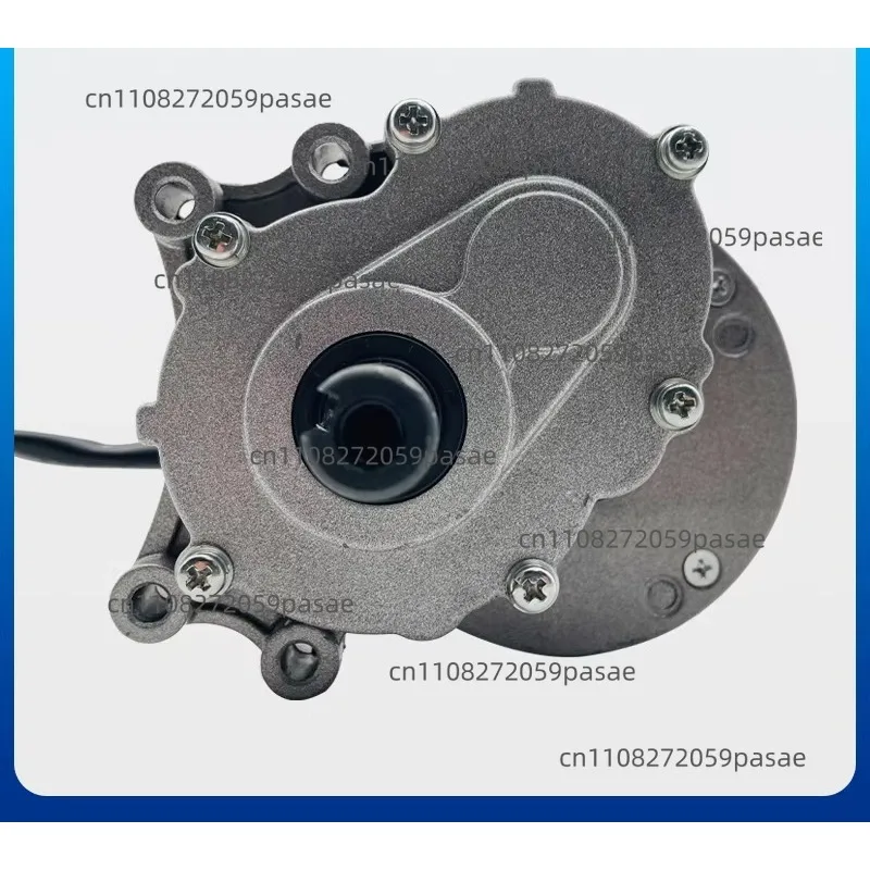 DC Brushed Low-speed Two-stage Reduction Electric Motor 24V 250W Wheelchair Motor 120/75 Rpm