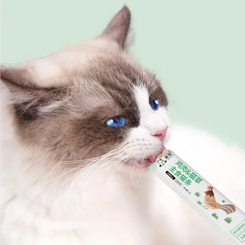 Gato comida húmeda mascota trata de recompensas interactivas gatito Snacks gato Snacks entrenamiento recompensa gato alimento básico salmón gato engorde mejillas