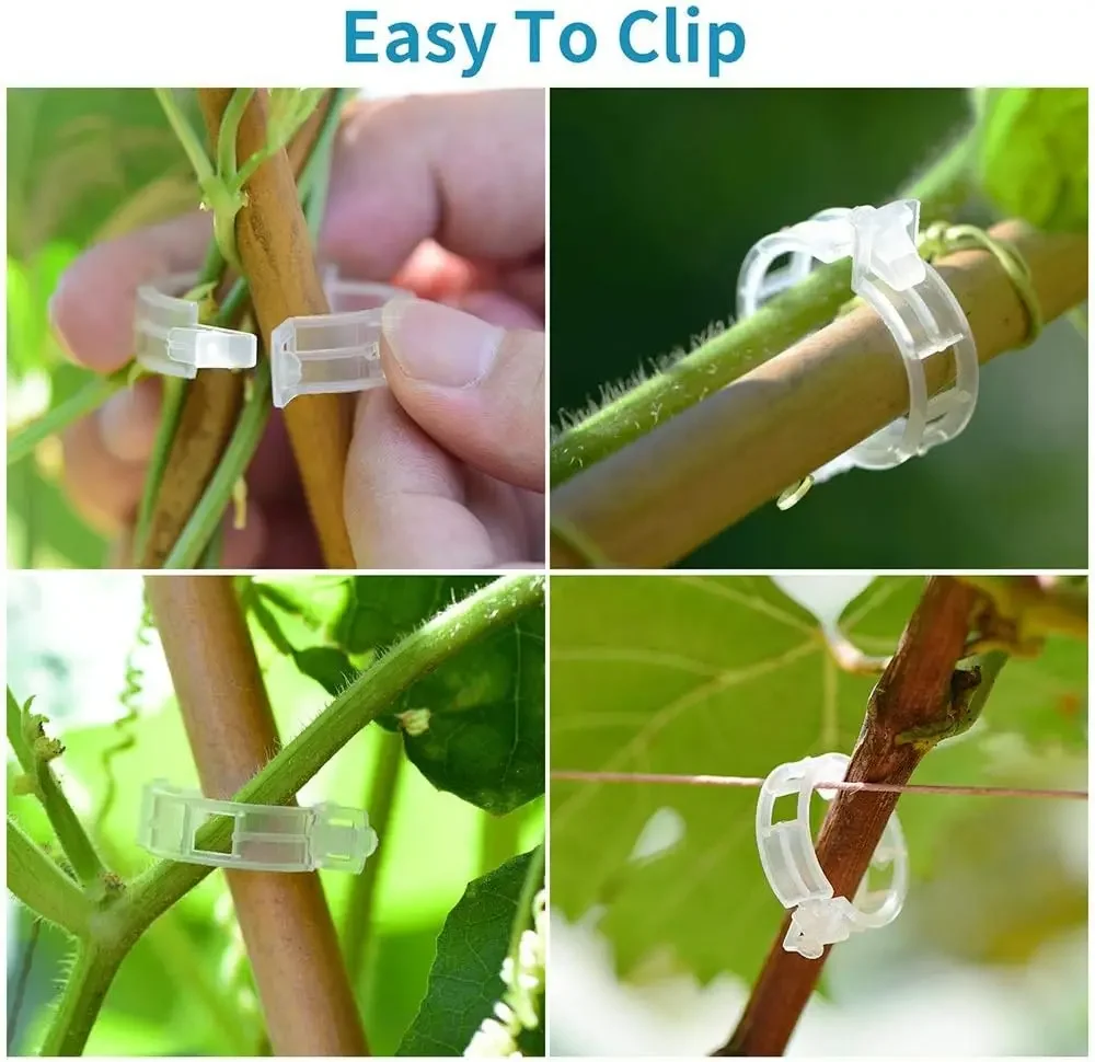 50PCS Pepper Clip for Plants Reusable Vine Connects Fixing Tool Climbing Plants Clip for Tomato