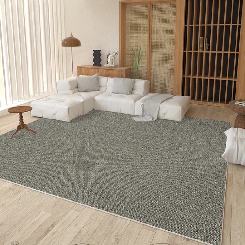 Modern Simple Carpets for Living Room Plain Color Bedroom Decor Grey Carpet Large Area Cloakroom Soft Rug Home Thicken Floor Mat