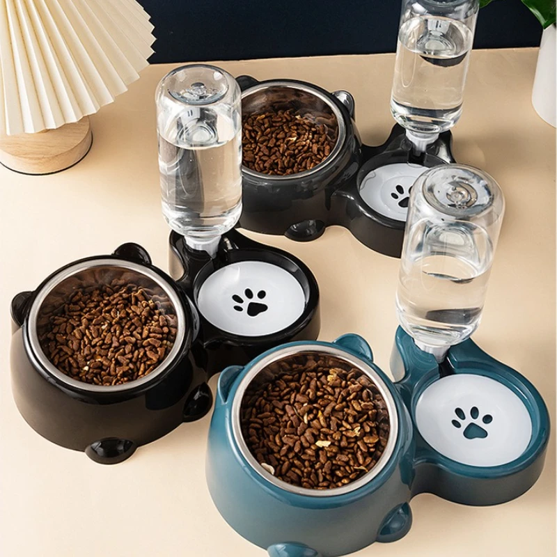 #20 Compare Automatic Cat Feeders Before You Buy