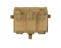 Coyote Brown