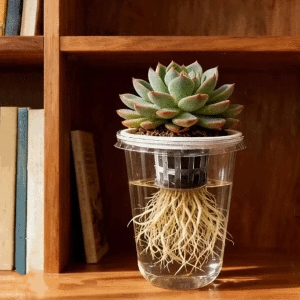 Plastic Root View Cups Visible Self Watering Hydroponic Planter Pots Transparent Plant Propagation Cup Observing Plant Roots