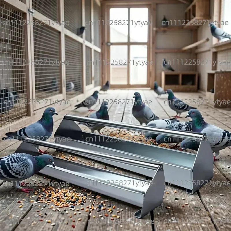 Professional pigeon feeder, durable stainless steel racing pigeon feeder, automatic gravity feeder for bird sheds