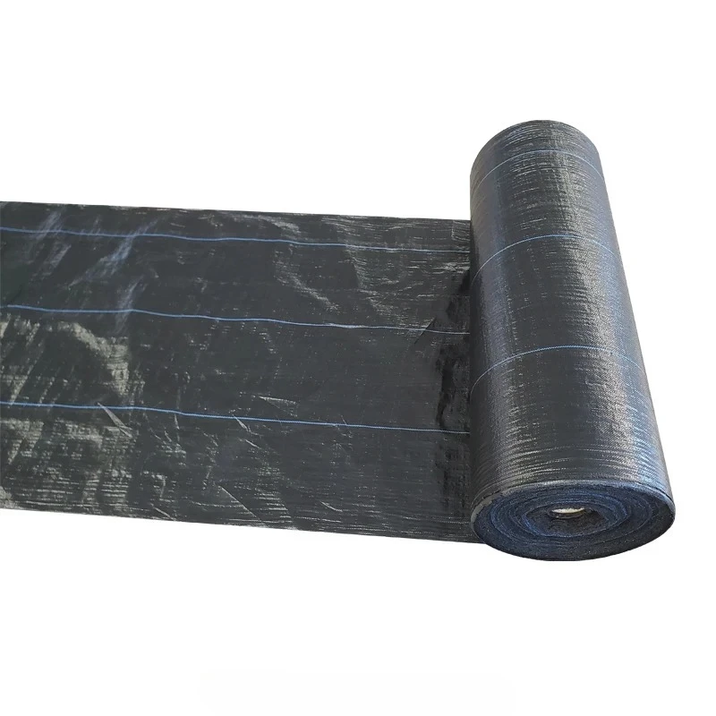 

2025Woven Weed Control Fabric Plastic Mulching Paper Agriculture or Garden