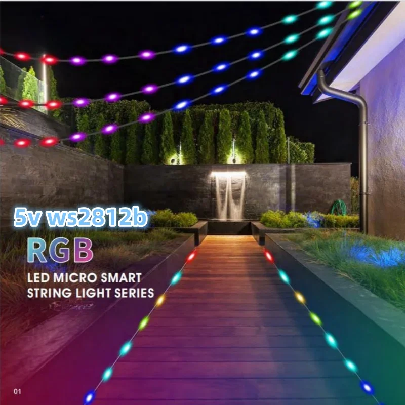 2M/5Meters Dream Color LED String Lights USB Remote Smart Music WS2812 RGBIC LED Fairy Light Waterproof IP67 for Party Christmas