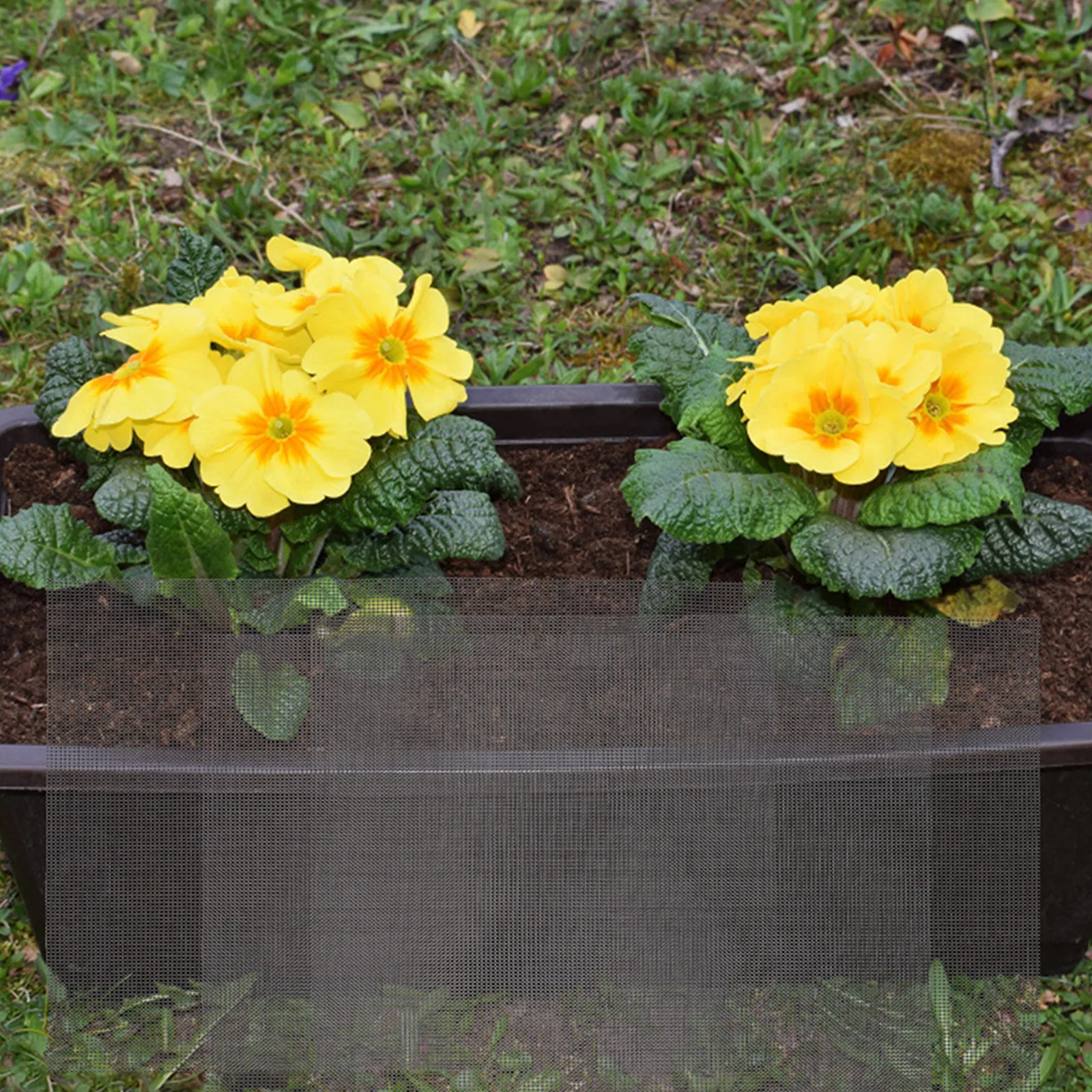 50Pcs Bonsai Mesh Grid Thin 20x30cm Flower Pot Drainage Prevents Soil Leakage Terrarium Bottom Grid Mat Gardening Accessories