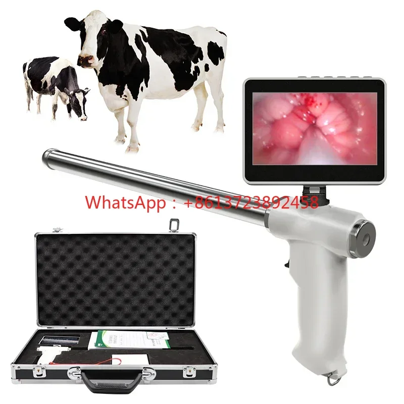 

Cows Artificial Insemination Device Cow Visual Endoscope Sperm Cattle Veterinary Breeding Examine Tools