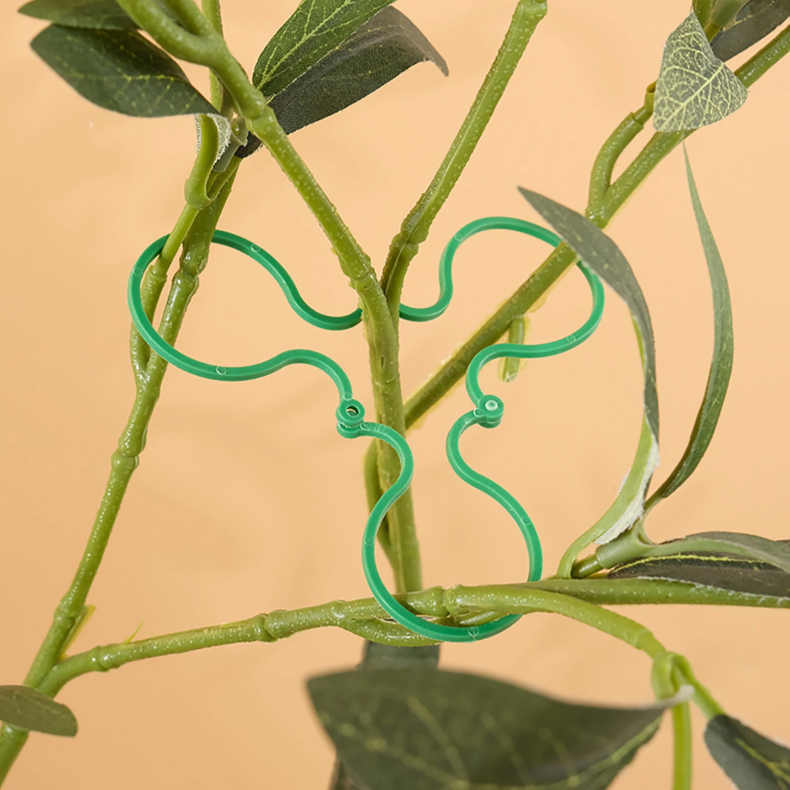 50/100Pcs Plant Vine Strapping Clips Ring Fixed Bundled Buckle Tomato Grape Support Hook Flower Vegetable Growing Upright Holder