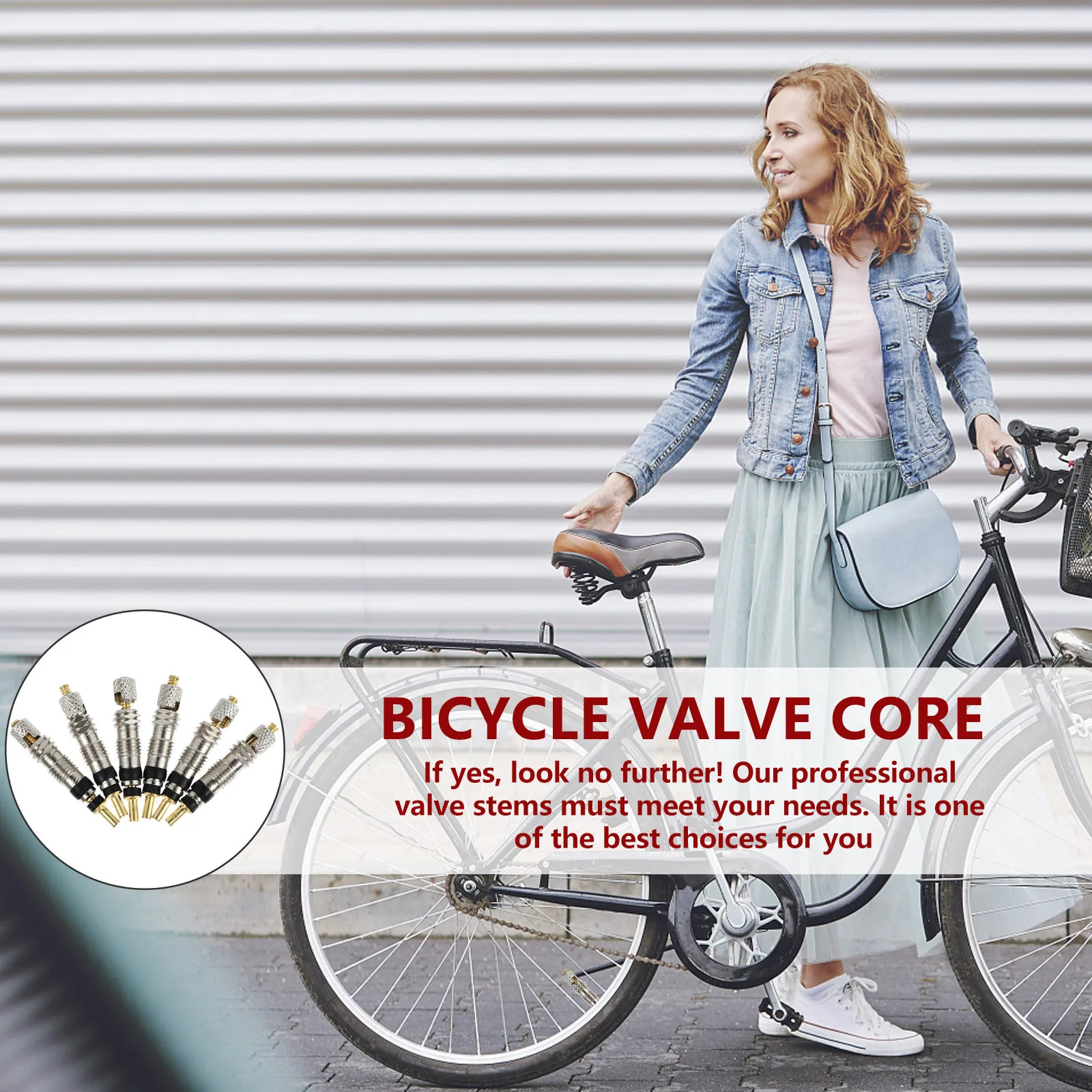 

6Pcs Presta Core French Valve Tubeless Bike Stem with Tool Premium Brass Alloy Repair Kit for Bicycles Core Remover