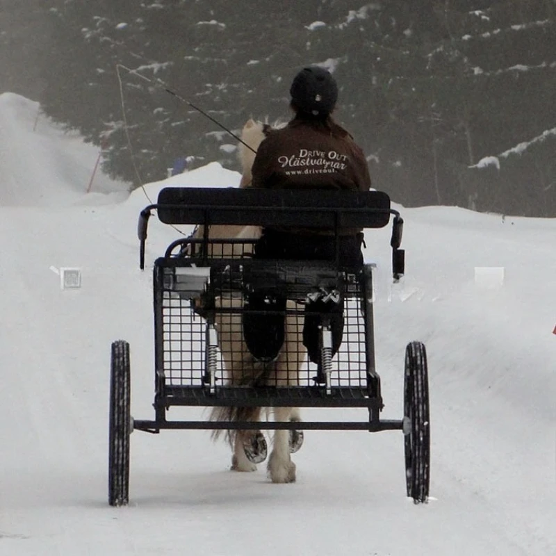 

New retro sightseeing carriage Equestrian supplies Solid two-wheel training competition European style