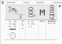 

399500 for engine PISTON PISTON ring P306 P605 P405 m P806 ZX xxxantha EVASION XU10J2C (peak)