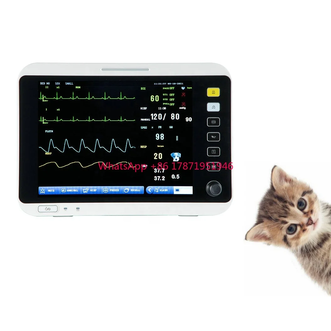 

Patient monitoring animal health bold pressure monitor pets multiparameter veterinary monitor