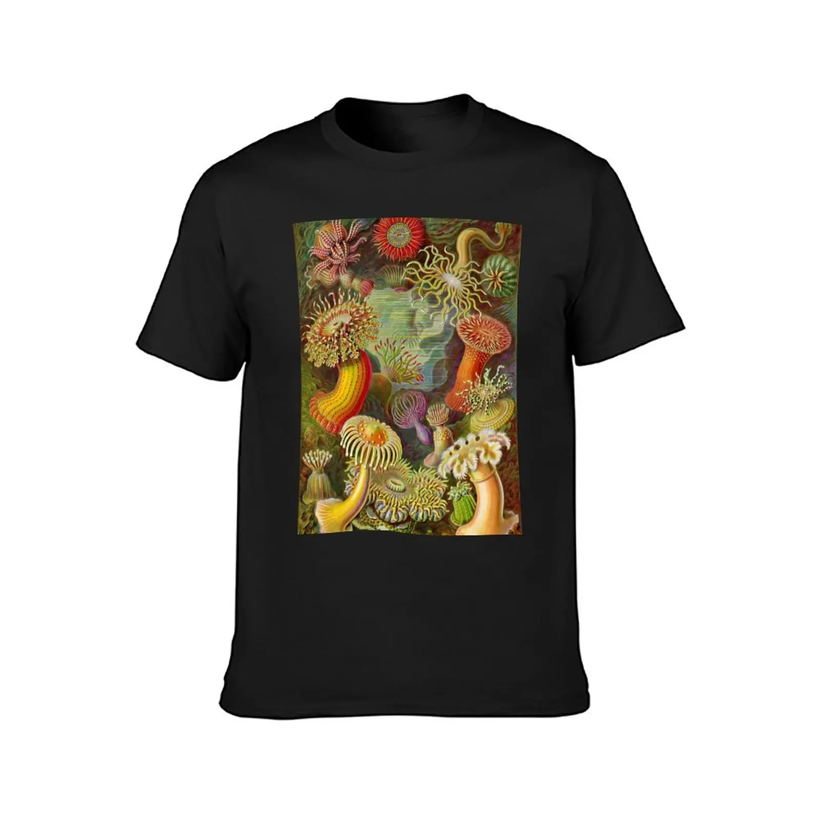 Sea anemone - Ernst Haeckel T-Shirt summer top quick-drying oversizeds summer tops men clothing