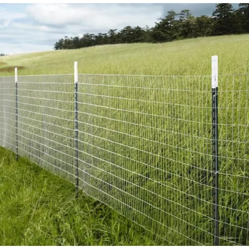 

Galvanized Grassland Wire Mesh Fiexed Knot Fence Cattle / Sheep / Field / Deer Farm Fence