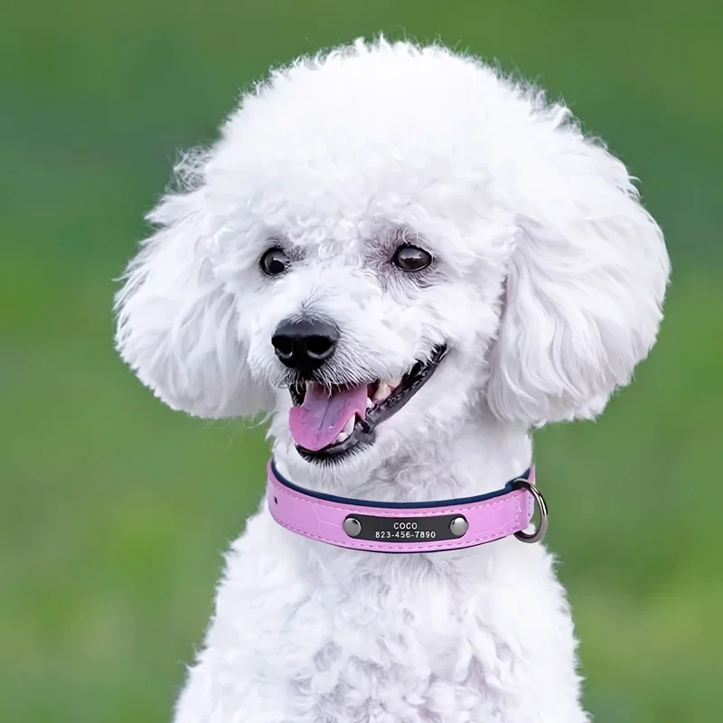 Customized ID Tag Dog Collar Bone Printed Soft Padded Personalized Nameplate ID Leather Dog Collars for Small Medium Large Dog