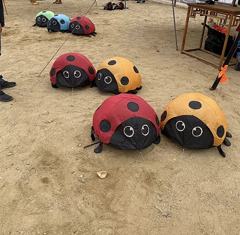 Envío Gratis, cometa de mariquita, pipas blandas para niños, no puede caminar, no volar, juguetes al aire libre, juegos de playa, cerf volant enfants deportes-y-ocio