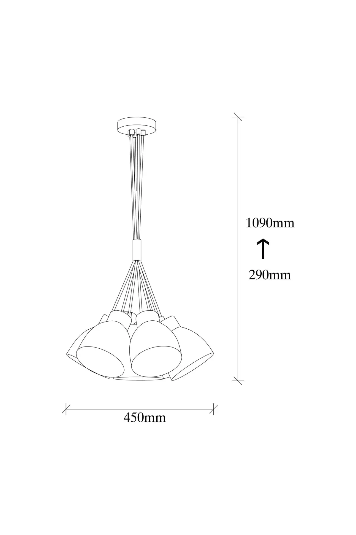 Special Design Lux Chandelier-Sivani-MR-312