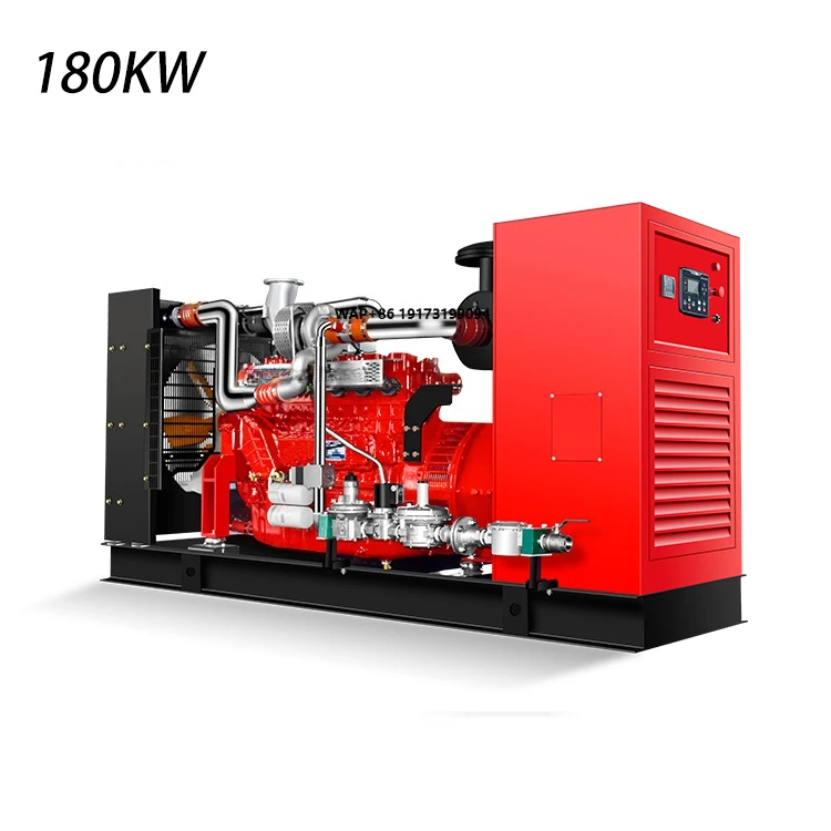 Natural Gas Generator Single Phase Backup Power Equipment Energy Saving with LPG and Biogas Fuel