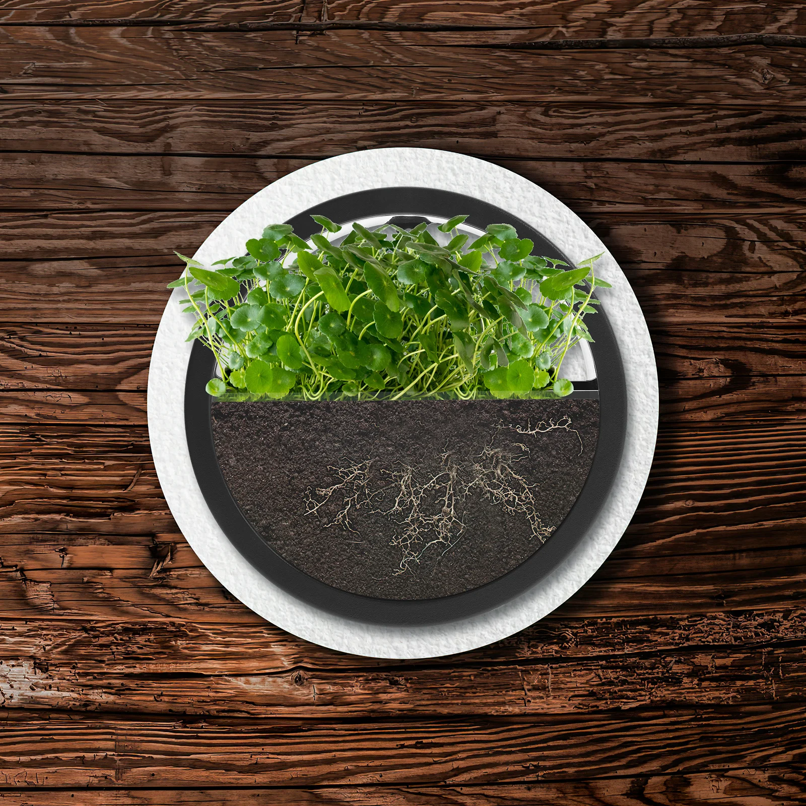 

Wall Hanging Flower Pot Round Grey Medium Size Creative Glass Design Decorative Flowerpot For Home Office Garden Plant