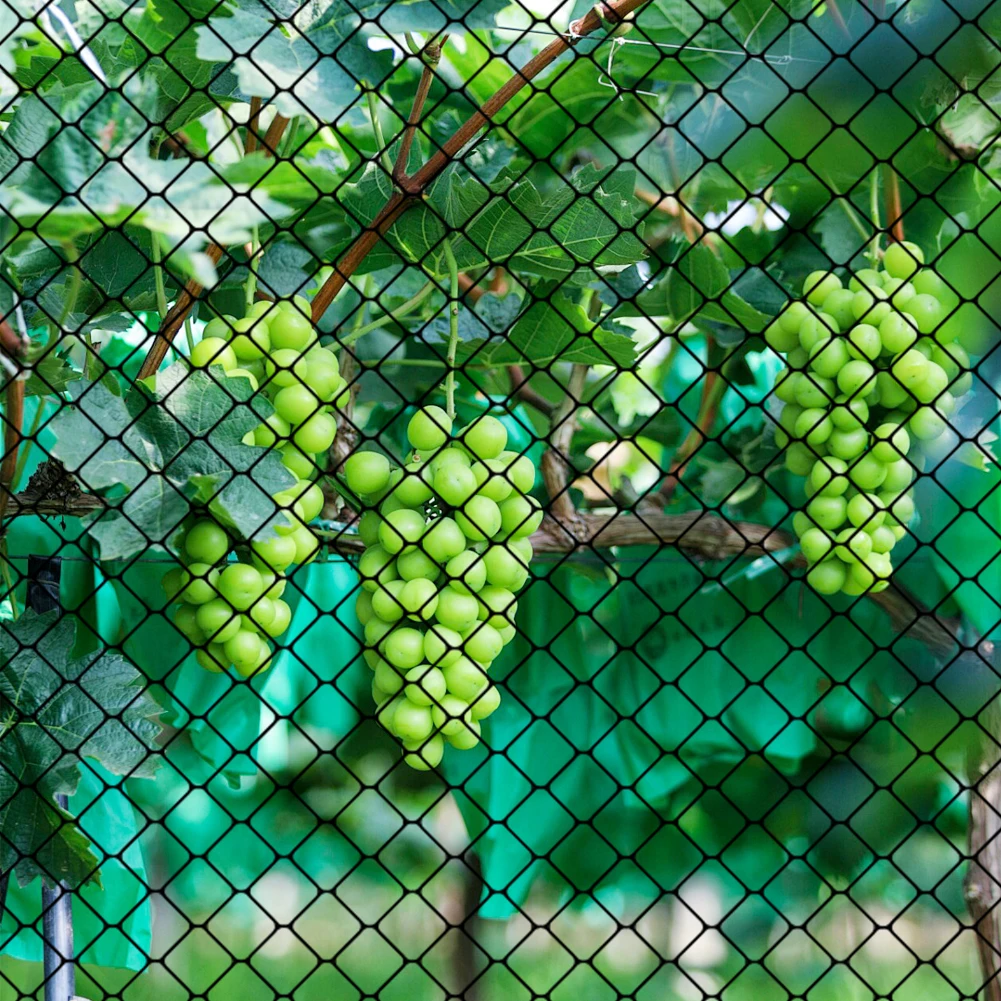 

Nylon Bird Netting Mesh Hawk Netting Protective Garden Bird Net 25 X 50 FT Fruit Tree Netting for Vegetables Poultry