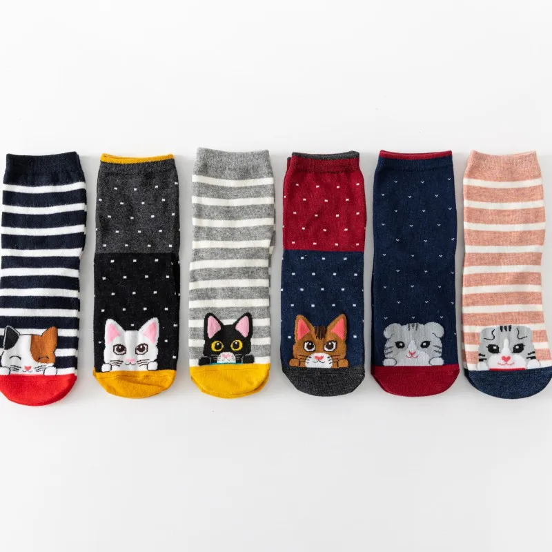 5 أزواج من جوارب القطط المضحكة على شكل حيوانات للنساء هدية
