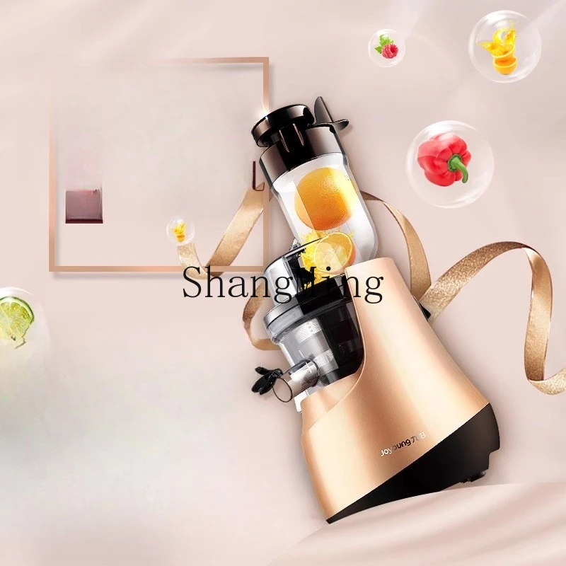 ZYY Macchina per succhi fritti automatica per frutta e verdura per uso domestico multifunzionale di grosso calibro