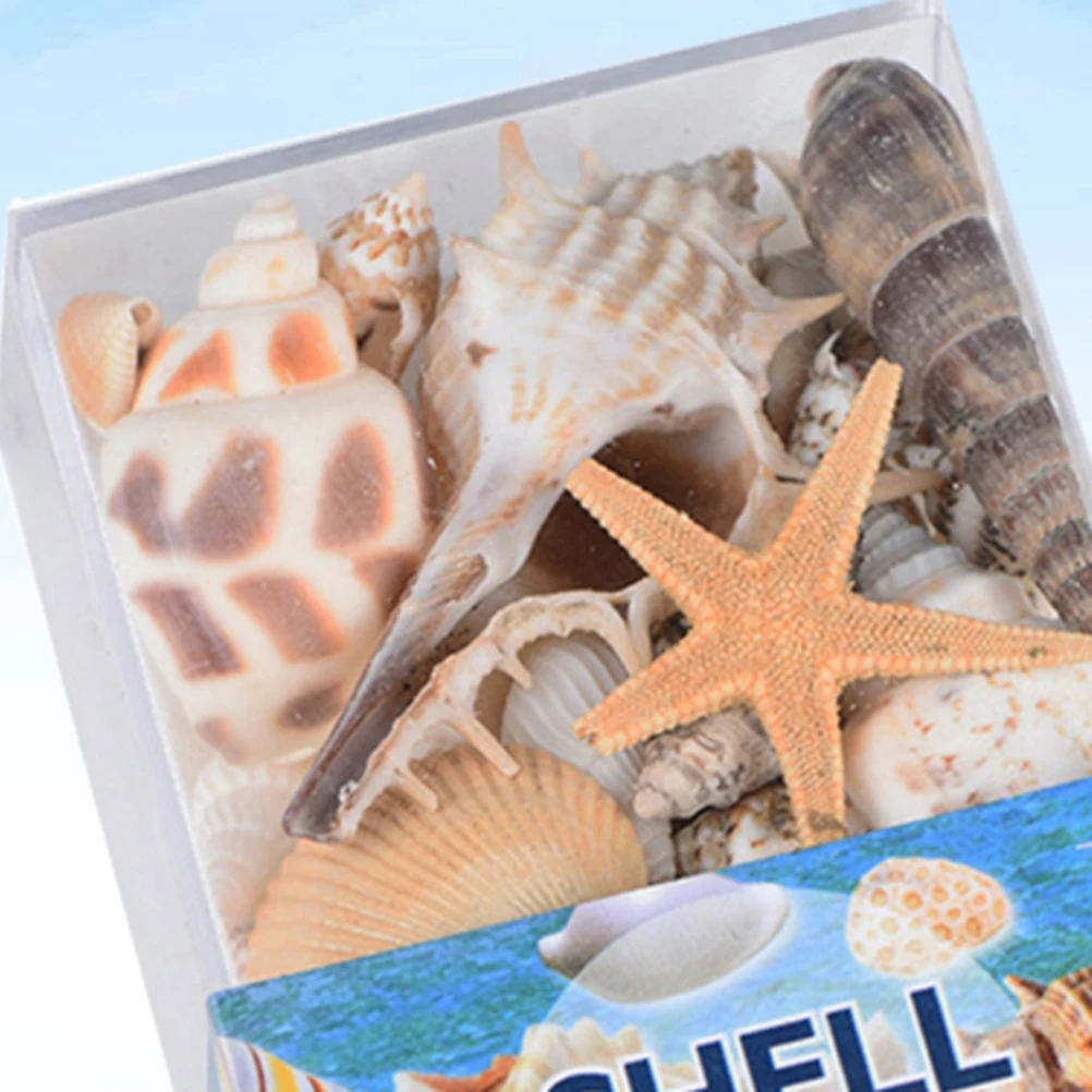 

1 Box Shell Specimen Souvenir Natural Craft Ornaments Diy Home Decoration Beach Party Fish Tank Decorative Accessories Sea