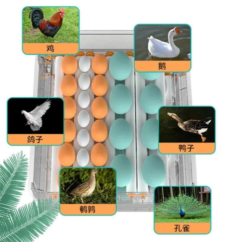 36 Small E-gg Incubators for Hatching with Automatic Turning and Humidity Control