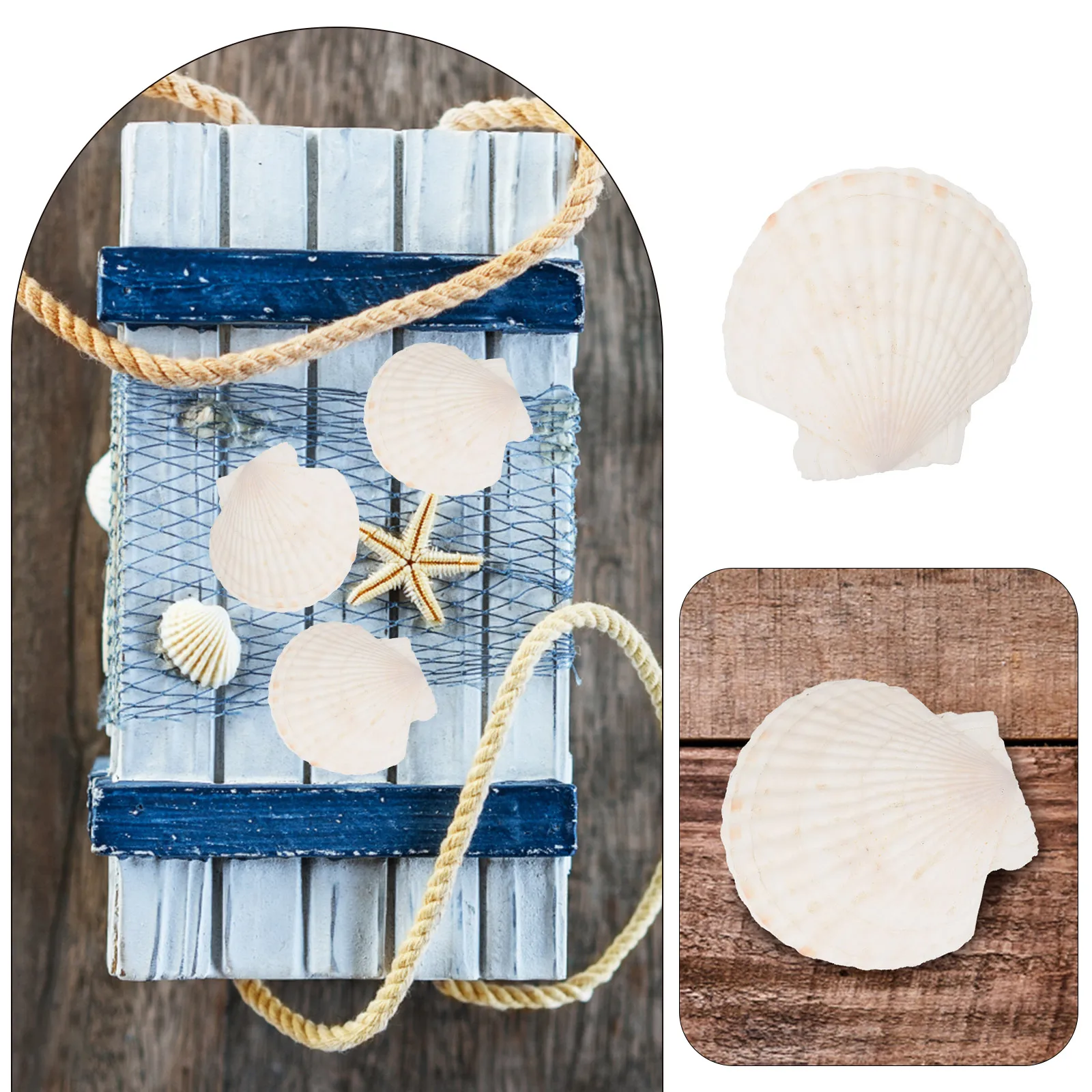 

5pcs Shell Jewelry Storage Tray Desktop Organizer Trinket Holder Ring Earring Dish Sundries Container Bracelet Necklace Holder