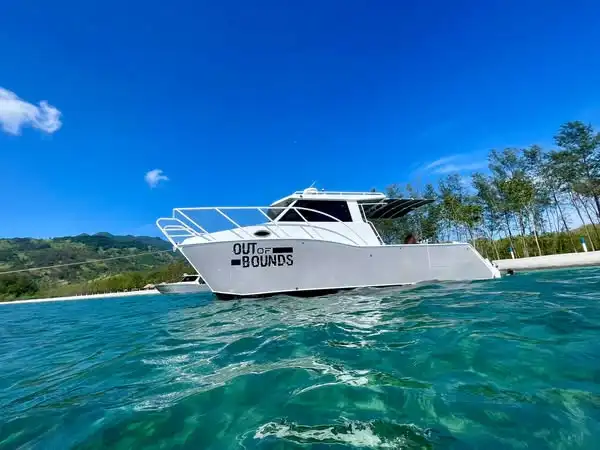 8.9M 29ft Aluminum Catamaran Luxury Yacht Catamaran High Speed Sea State Sailing Ferry Fishing Boat