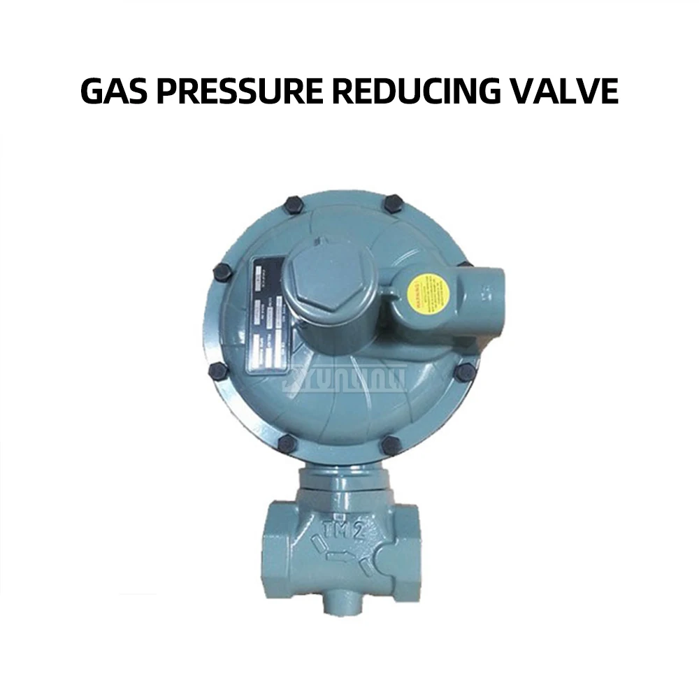 DN40 1.5in 190m³ Natural Gas Low Pressure Regulating Valve,Gas Pressure Reducing Valve Liquefied Gas Pressure Regulator 