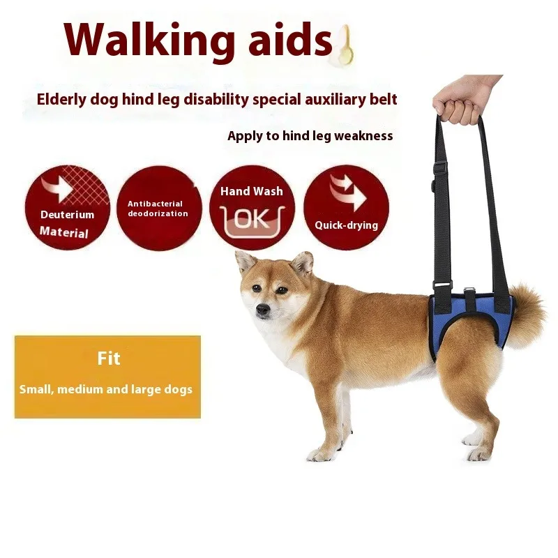 Harnais de soutien des jambes arrière pour chien senior, pour la décompance et les personnes handicapées, aide à la mobilité des animaux de compagnie réglable, rééducation des jambes arrière