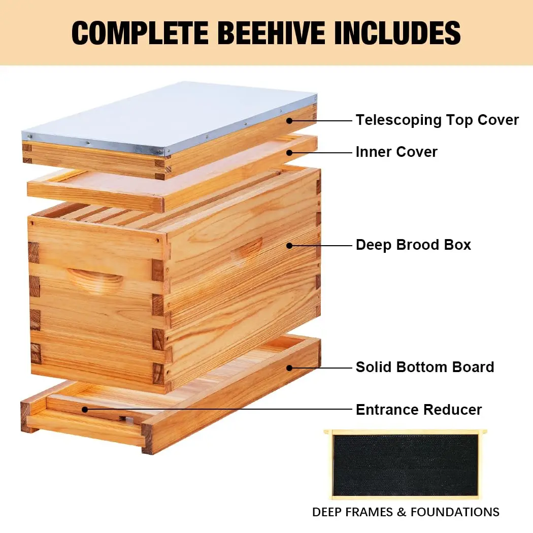 5 Frame Nuc Complete Bee Hive Kit Langstroth Beehive Box Dipped in Beeswax Include Beehive Frames and Waxed Foundation Sheets