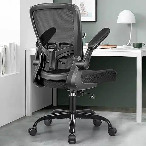 Office Chair Ergonomic Desk Chair with Adjustable Lumbar Support and Height, 90° Flip-up Armrests, Ergo Desk Chairs with Wheels,