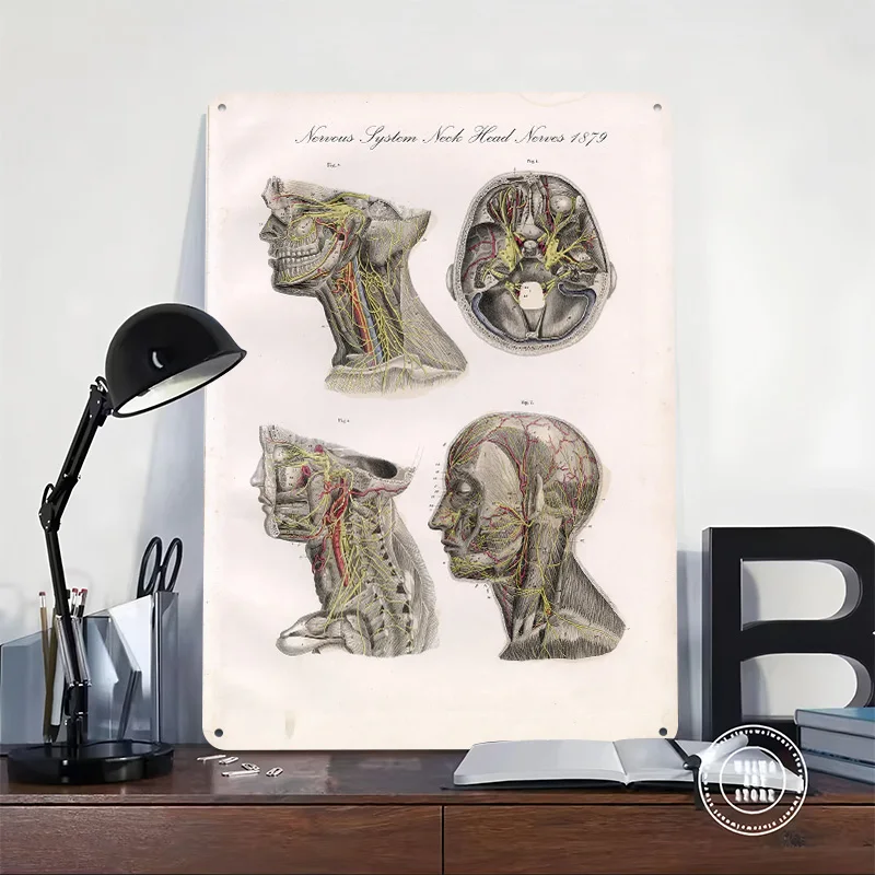 Nervous System Neck Head Nerves Tin Plaque Poster Customized Retro Wall Art Vintage Metal Signs for Room Bar Accessories Home